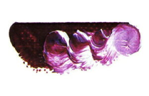 [ [։ ] }c_ X[p[G̋ X[p[K[lbg 6 20ml 1{ y G  G c z