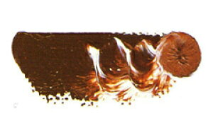 [ [։ ] }c_ X[p[G̋ Cgbh 6 20ml 1{ y G  G c z