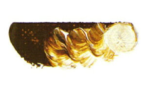 [ [։ ] }c_ X[p[G̋ [VFi[ 6 20ml 1{ y G  G c z