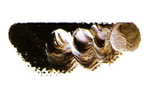 [ [։ ] }c_ X[p[G̋ o[gAo[ 6 20ml 1{ y G  G c z