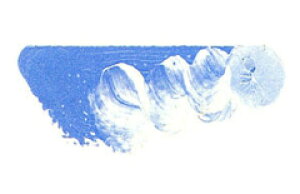 [ [։ ] }c_ X[p[G̋ u[O[ 6 20ml 1{ y G  G c z
