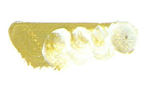 [ [։ ] }c_ X[p[G̋ mN[`gEH[ 6 20ml 1{ y G  G c z