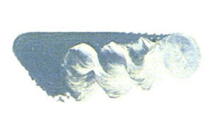 [ [։ ] }c_ X[p[G̋ O[IuO[ 6 20ml 1{ y G  G c z