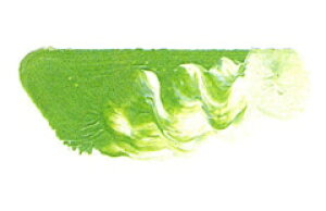 [ [։ ] }c_ X[p[G̋ x[R|[[No.2 6 20ml 1{ y G  G c z