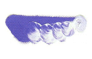 [ [։ ] }c_ NCbNG̋ ofB^[u[ 6 20ml 1{ y G  G c z