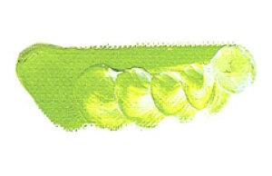 [ [։ ] }c_ NCbNG̋ Jh~EO[y[ 6 20ml 1{ y G  G c z