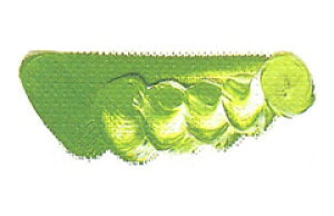 [ [։ ] }c_ NCbNG̋ N[O[ No.2 6 20ml 1{ y G  G c z