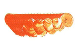 [ [։ ] }c_ NCbNG̋ Jh~EbhIW 6 20ml 1{ y G  G c z