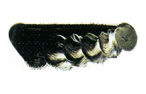 [ [։ ] }c_ NCbNG̋ ZsA 6 20ml 1{ y G  G c z