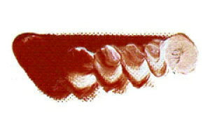 [ [։ ] }c_ NCbNG̋ Cgbh 6 20ml 1{ y G  G c z