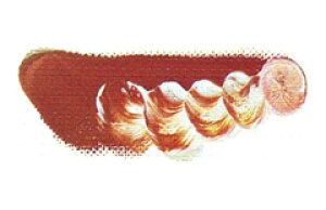 [ [։ ] }c_ NCbNG̋ [YO[ 6 20ml 1{ y G  G c z