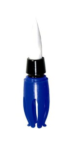 [ [։ ] n^ |bvR[ ѕM  lp  F i30527 y тӂ wM wɂM PopCorn z