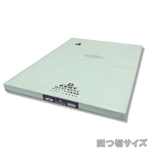 񂹕i GXPg }LV[ Đp No.200  l 380×540mm 186.5g 100 y `p G XPb` z