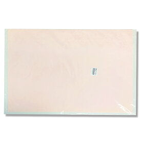 雲龍紙 10枚組 桃 【 和紙 雲龍 工作紙 製作 】