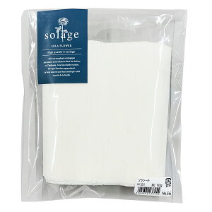 �\���V�[�gW �� ��10g �\���[�W�� solage 36Z001-S0560