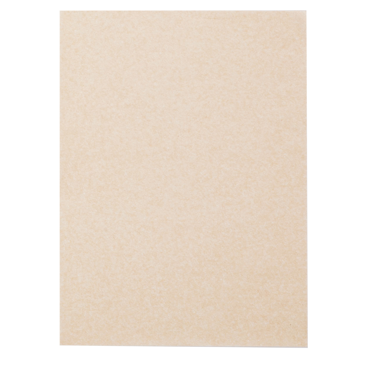贈物 2021高い素材 人気の白タイプの転写紙です メール便可 ホワイトカーボン紙 10枚組 300×220mm 白 転写紙 buerostuhl-ulm.de buerostuhl-ulm.de