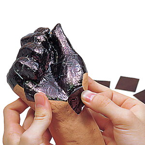 ^Zbg ̂t Ԃ y ΂ Sy  z