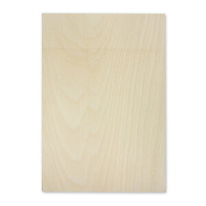 [ [։ ] ŉ ȃxj  5.5mm 160×110mm y N ʔ ŉ ŉ z