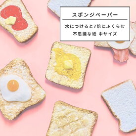 [ メール便可 ] 水で膨らむ スポンジペーパー 190×135mm 【 水 ふくらむ 不思議なペーパー】