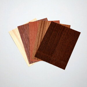 [ [։ ] EbhV[g 5g  100×150mm y ؍H H EbhV[g ؖڏۛ  z