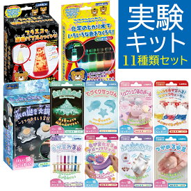 実験キット たっぷりおすすめ11種類セット おうちでできるサイエンス ルミカ 【 小学生 セット こども 子供 知育 知育玩具 理科 科学 】