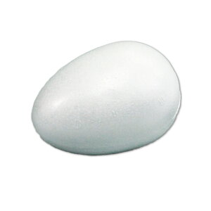 AX`[ ܂ 10g 4C` J y ^  X`[ z