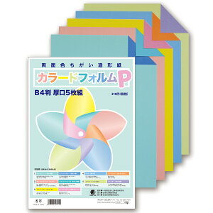 両面色違い 造形紙 カラードフォルムP B4判 厚口 5枚組 【 色紙 工作紙 パステル 】