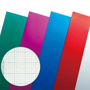 J[Hp ʕt A3 zCJ[ 10g y H   `  z