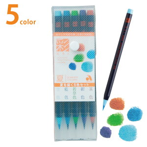 [ [։ ]  ʖѕM  Ă`5FZbg CA200/5VB y J[ My M؂  K N 莆 z
