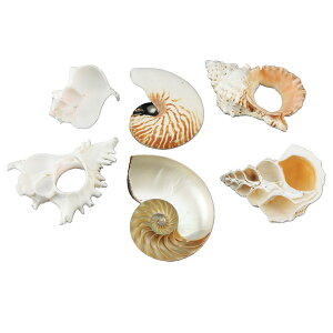 LkfʃJbgf 3_Zbg y fbT XPb` G f Lk z