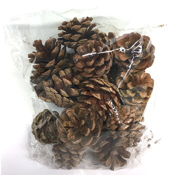 楽天市場 松ぼっくり 個入 木材 材料 まつぼっくり リース 画材 ものづくりのアートロコ