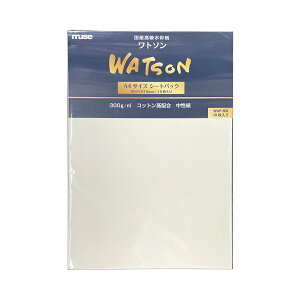 [ [։ ] ~[Y ʎA4V[gpbN g\ 300g 10 WAP-NW y `p G XPb`  p z