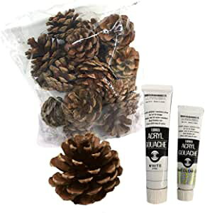 HZbg ڂ 20 ANKbVG̋t zCg 20ml NAIp[ 11ml t y NX}X Zbg H z