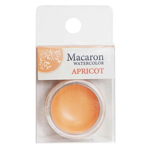 [ ���[���։� ] �N�T�J�x �}�J�����J���[ �Ō`���ʊG�� 05 �A�v���R�b�g Macaron WATERCOLOR KUSAKABE �y �p�X�e�� �Ō` ���� �G�̋� �G�� ���̂� �z