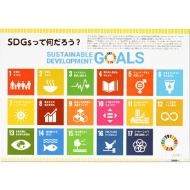 SDGsって何だろう？ ポスター版 1セット 5枚組 B2サイズ 515×728mm SDGs ポスター B2