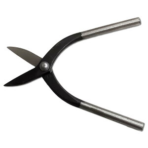 [ [։ ] ؂΂ n 180mm y  H ؂΂  nT~ z