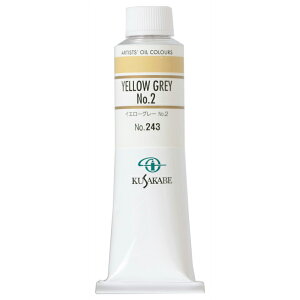 NTJx Ɨp G 243 CG[O[ No.2 9 40mL 1{ G̋ Yellow Gray 2