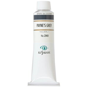 NTJx Ɨp G 248 ؃CYO[ 9 40mL 1{ G̋ Paynefs Gray