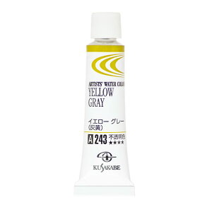 [ [։ ] NTJx ƗpʊG 243 CG[O[ /D Yellow Gray 2 5mL 1{