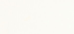 񂹕i NTJx sOg 278 `^jEzCg(Ai^[[) #500 痿 Titanium White (Anatase)