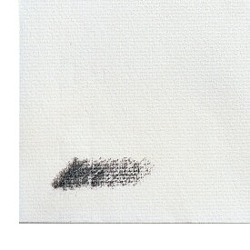 ミューズ NA木炭紙 50枚組 木炭紙判 【 描画用紙 絵画 デッサン 用紙 】