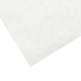 水墨画用 雁皮紙 10枚 【 日本画 水墨画 紙 和紙 日本画紙 】