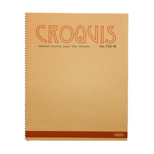 zxC NbL[ubN No.700 M 70 306×242mm holbein y XPb` fbT  z