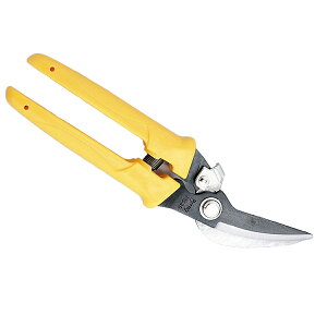 [ [։ ] hCcXjbvX vX 200mm GT-097 쏊 y H ؂΂  nT~ z