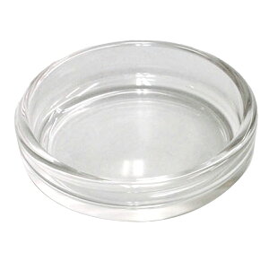 KX 54012 mX؃KX y ThuXg ɎqH| f e z