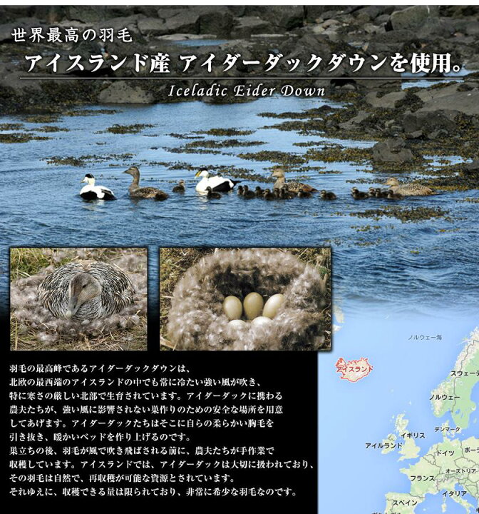 楽天市場】アイダーダウン羽毛布団《甲州織・シルクジャガード 