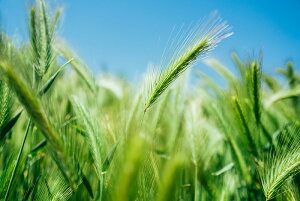 【日本製】アートパネル ボード artmart アートマート 写真 アルミフレーム おしゃれ 綺麗 コーディネート 壁紙 額縁 ウォールステッカー フォト 小物 部屋 オフィス ホテル 旅館 病院 ホール