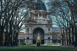 y{zA[gpl {[h artmart A[g}[g ʐ^ A~t[  Y R[fBl[g ǎ z EH[XebJ[ tHg   ItBX ze  a@ z[