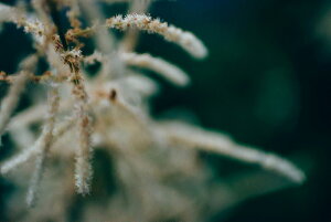 y{zA[gpl {[h artmart A[g}[g ʐ^ A~t[  Y R[fBl[g ǎ z EH[XebJ[ tHg   ItBX ze  a@ z[