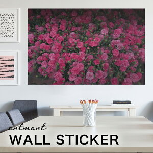 EH[XebJ[ A[gpl A[g ǎV[ ǃV[ CeA XebJ[ ʐ^  ǎ k R   lC Y  Vbv rO ItBX _CjO 